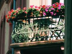 독일 여행 사진 (4)