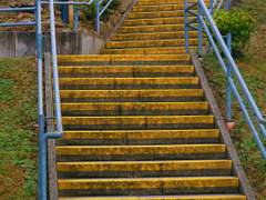 독일 여행 사진 (6)