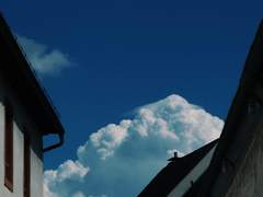 독일 여행 사진 (7)