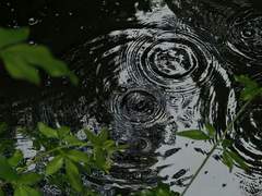 사랑은 아주 작고 사소한 행동으로부터 시작되는 거니까.