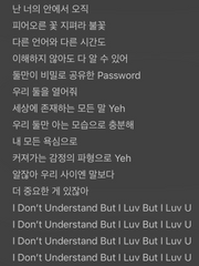 I Don't Understand I Luv U