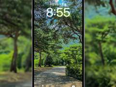 [무료 배경화면] 숲길