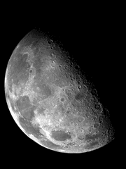 나는 투쟁이라 부르는 것에 관하여