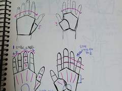 손 기본구조 그리기(+잡담)