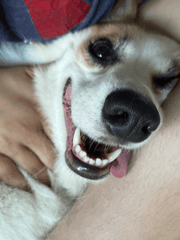 그림체 참고용 시리즈