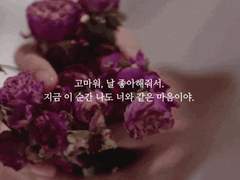 Morning glory(Happy News) of my life