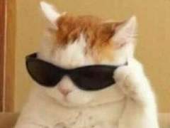 다중각인 가이드 08