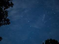 여름 밤 사랑 한 스푼