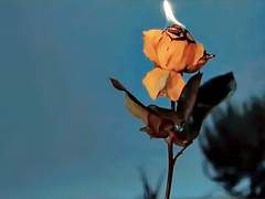 [과몰입 시리즈] 괴물의 아이