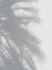 작전명 순정? 작전명 낭만 !