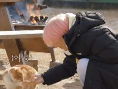 춘식이가 싫어요 talk