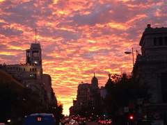 5화. What a LUCKY day