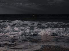 파도와 사랑은 닮았다