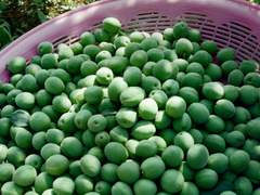 선명하고 투명하게