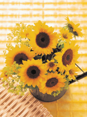 해리포터와 번외의 전