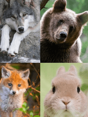 고목 아래 초가집