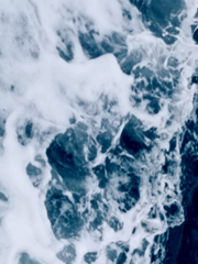 메밀꽃이 이는 바다