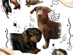 반려동물 커미션