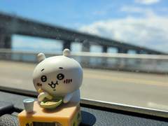 먼작귀 굿즈 자랑