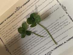 뜻밖의 행운을 만나서