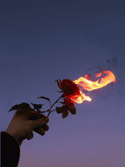 요즘 생각하는 것들