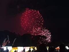 [DAY 115, 116] 하나비타이카이(진짜) 불꽃놀이