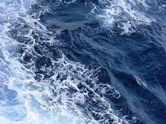 비빌로데카 프로필