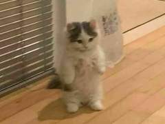 클리셰 범벅 하숙 talk