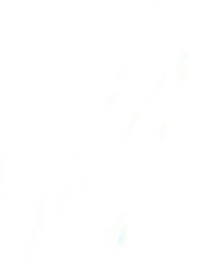 세 총각 장가들기