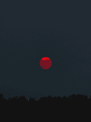 [문스독] 나중에 지음