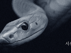 [우성명헌] 시선의 끝