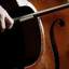 Cellist