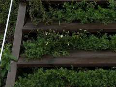 널 만난 행운의 계절