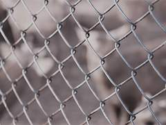 [해예] 짐승 길들이기