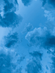 그림팀_파란 활동