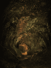 캐릭터 설정 및 프로필