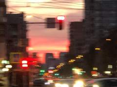 To. 사랑하는 _ _ _에게