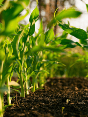 [ 커뮤 ] 오늘부터 같이 귀농한답니다