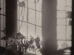 『완벽한 식사』