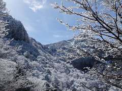 겨울 산 (1)