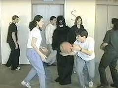 실험-파시즘: 실패