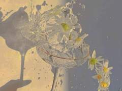 사랑은 질병일까요?