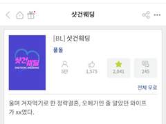 조아라 샷건웨딩 쓰셨던 풀돌 작가님을 찾습니다...