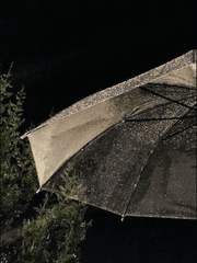 비 오는 날, 채형원은 전여친과 날 헷갈렸다.