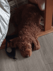 화산귀환 모음집