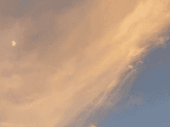 구름, 달, 나무, 그리고 신호등