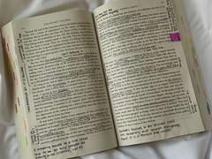 세이죠고교 생활 일지