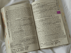 세이죠고교 생활 일지