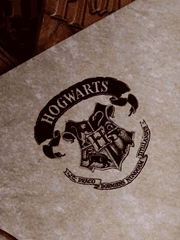 캐시디 카인트의 학교생활(1학년)