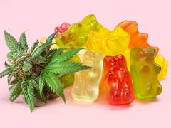 A Comprehensive Guide to Marijuana Edibles